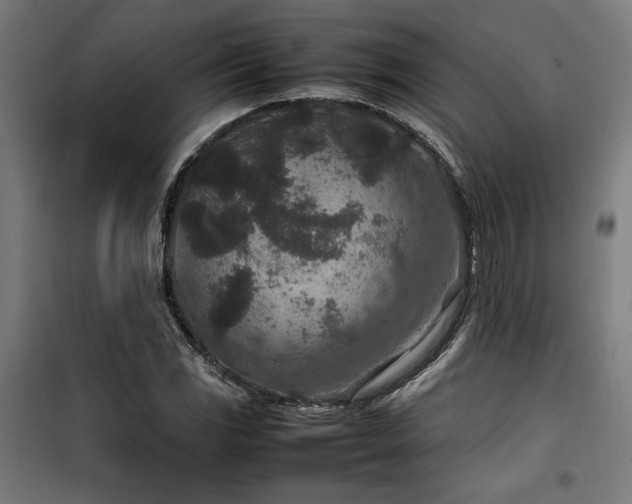 X0000100191117200805301241