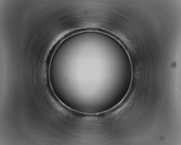 X0000100191118200805301241