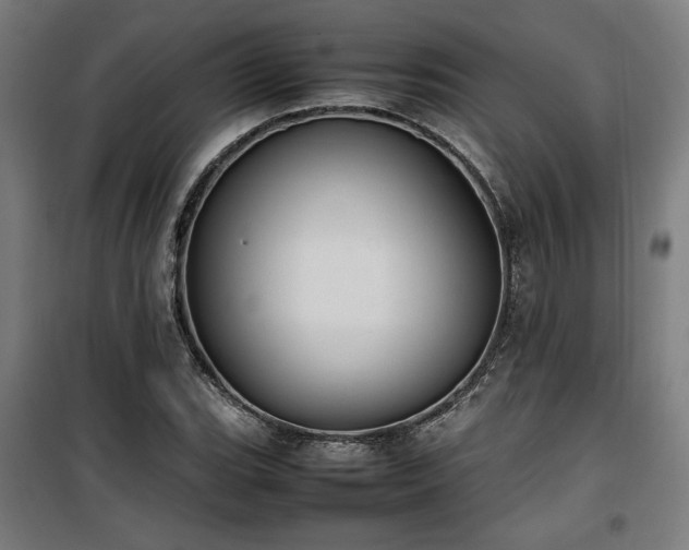 X0000100191119200805301241