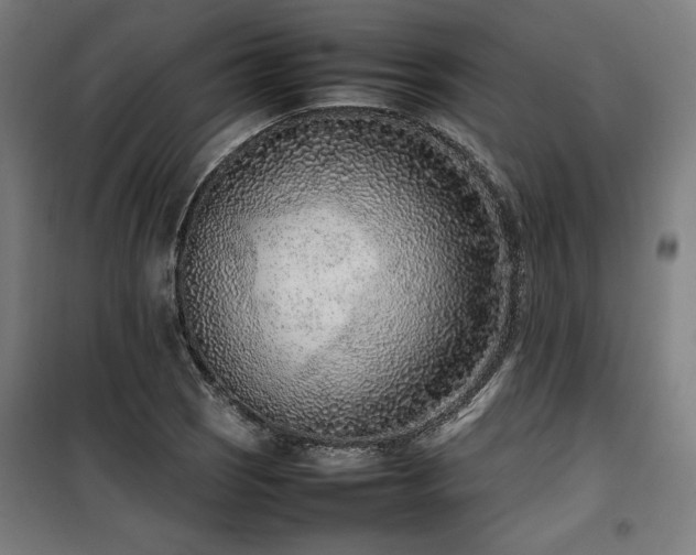 X0000100191121200805301241