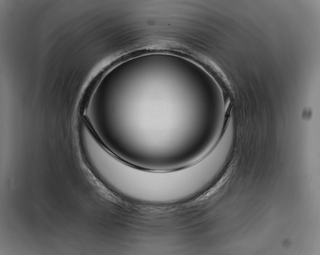 X0000100191122200805301241