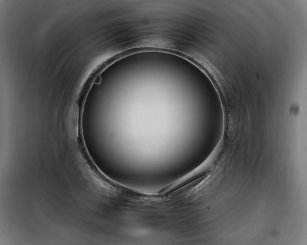 X0000100191123200805301241