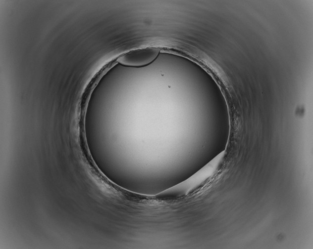 X0000100191124200805301241