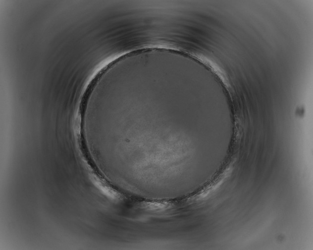 X0000100191125200805301241