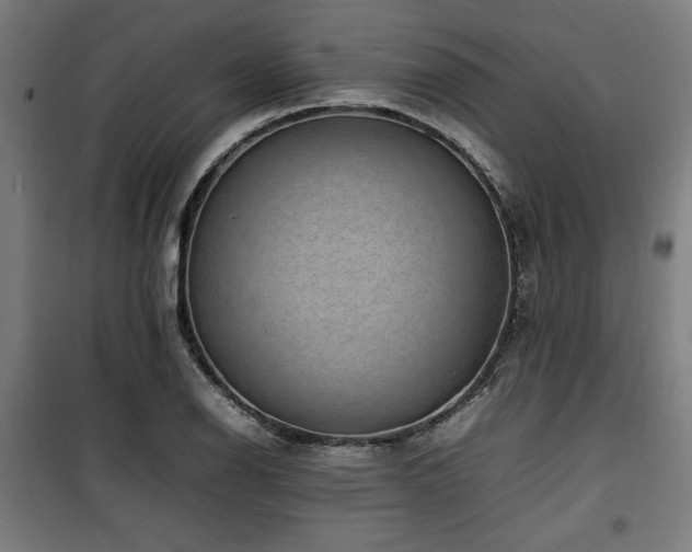 X0000100191126200805301241