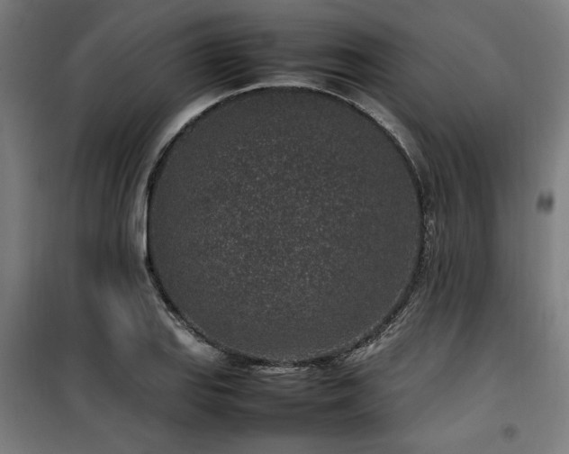 X0000100191127200805301241