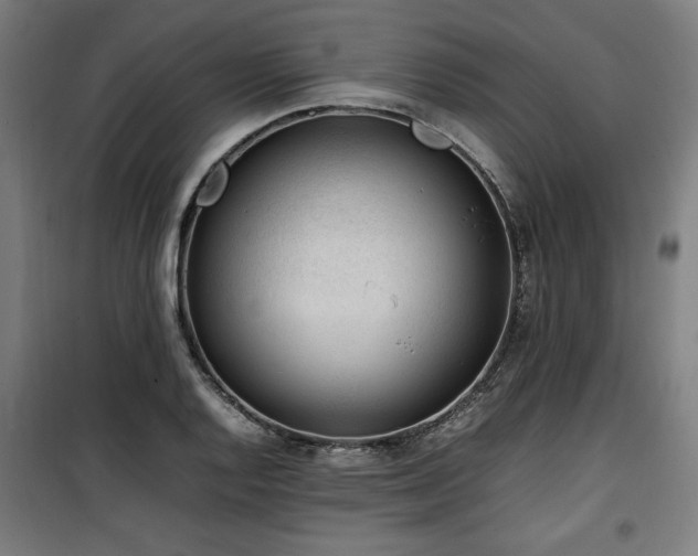 X0000100191128200805301241
