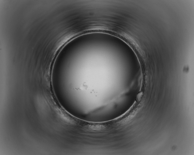 X0000100191129200805301241