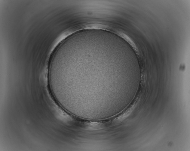 X0000100191130200805301241