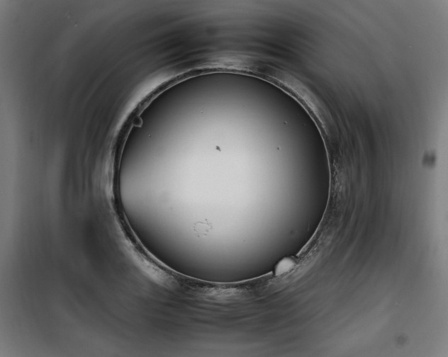 X0000100191131200805301241