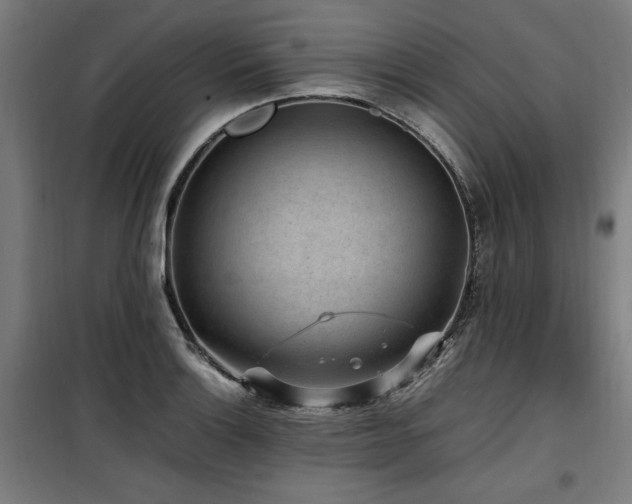 X0000100191132200805301242