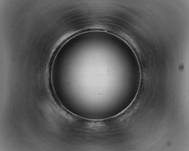 X0000100191133200805301242