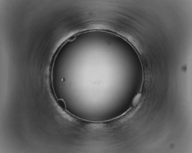 X0000100191134200805301242