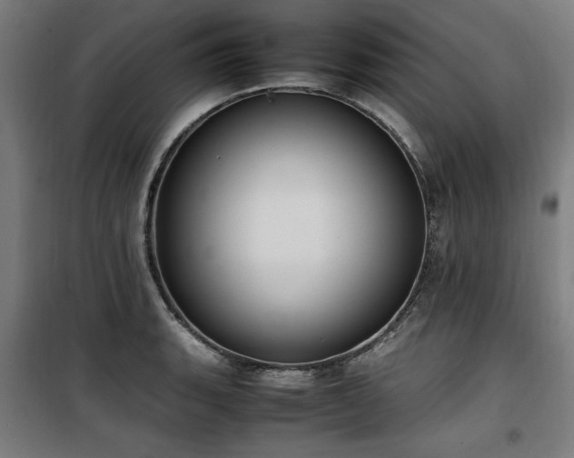 X0000100191135200805301242