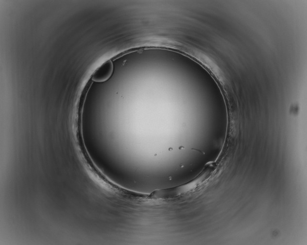 X0000100191136200805301242