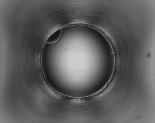 X0000100191137200805301242