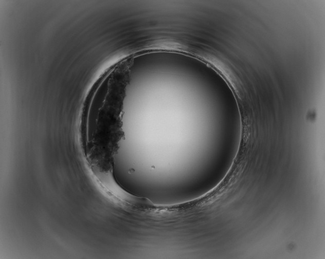 X0000100191139200805301242