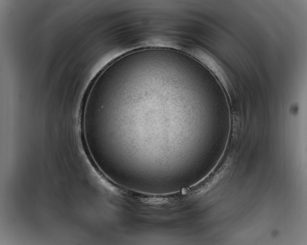 X0000100191141200805301242