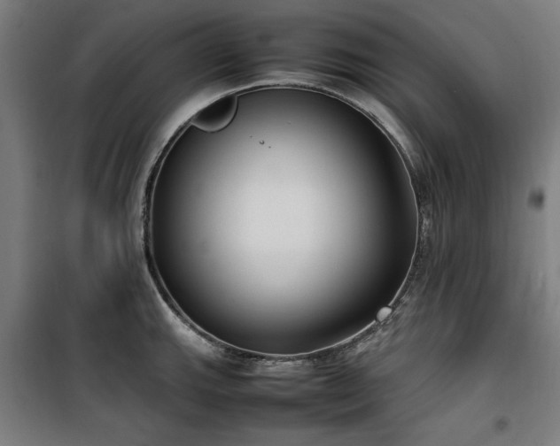 X0000100191143200805301242