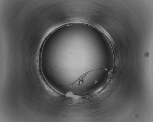 X0000100191144200805301242