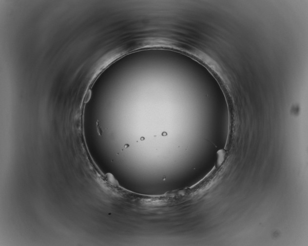 X0000100191145200805301242