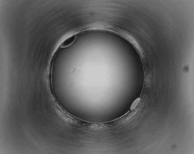 X0000100191146200805301242