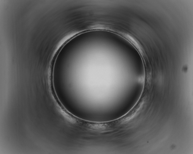 X0000100191149200805301242