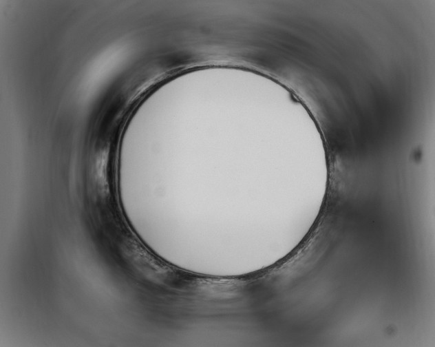 X0000100191150200805301242