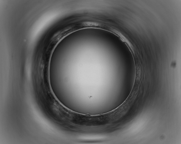 X0000100191151200805301242