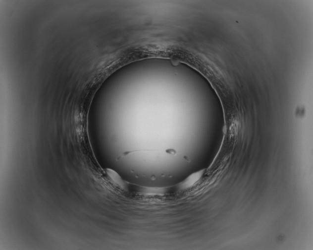 X0000100191156200805301241