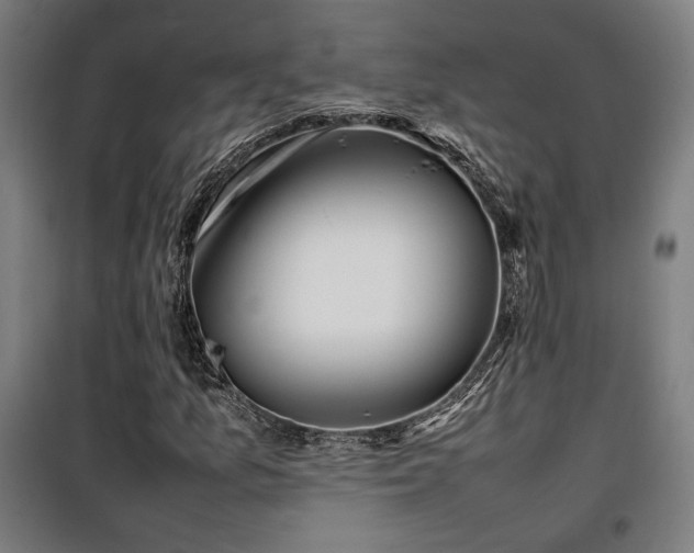 X0000100191157200805301241