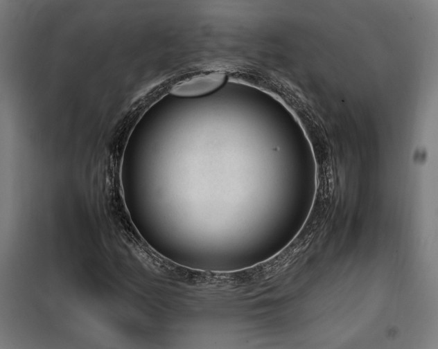 X0000100191158200805301241