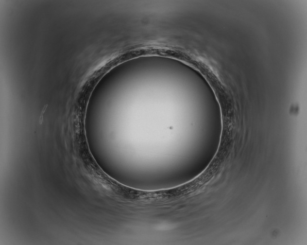 X0000100191159200805301241
