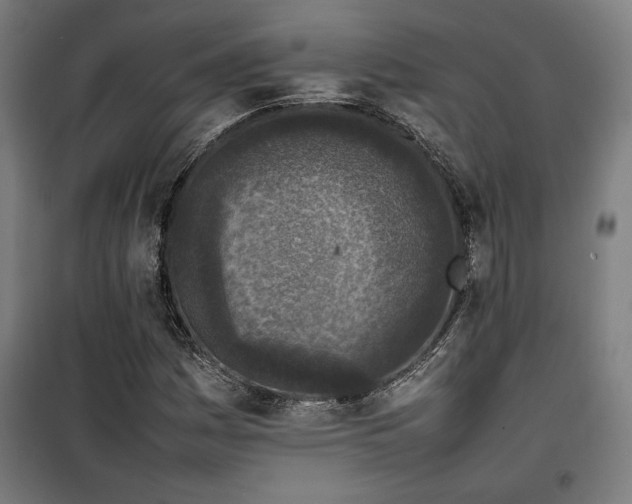 X0000100191161200805301241