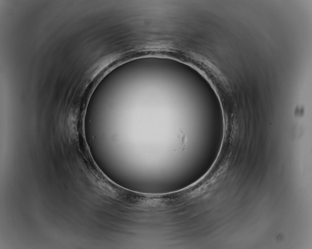 X0000100191162200805301241