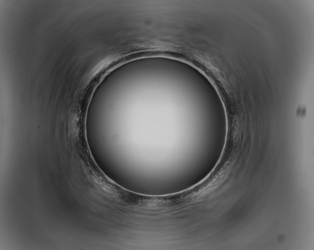 X0000100191163200805301241