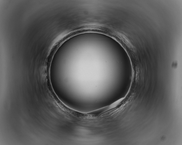 X0000100191164200805301241