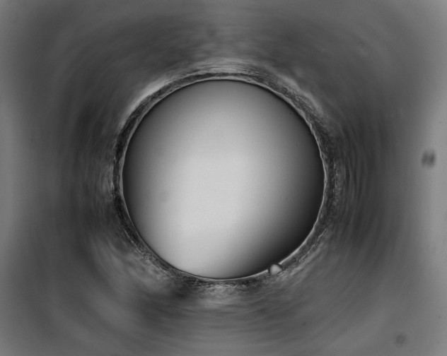 X0000100191166200805301241