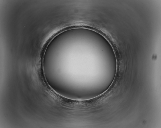 X0000100191167200805301241
