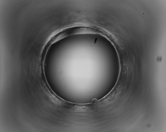 X0000100191168200805301241