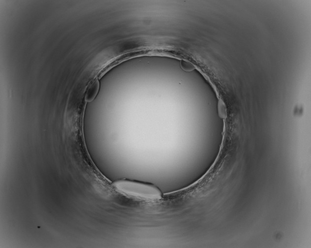 X0000100191169200805301241