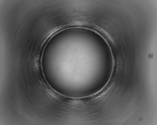 X0000100191170200805301241