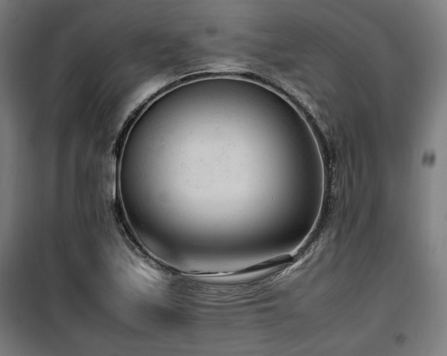 X0000100191171200805301241