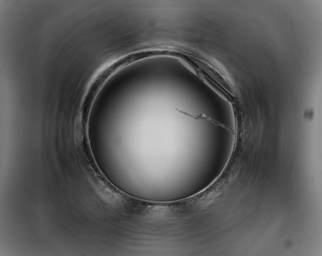 X0000100191172200805301241