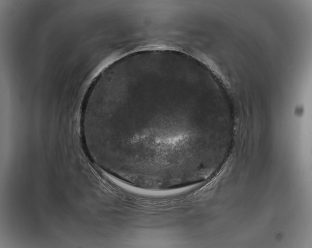 X0000100191173200805301241