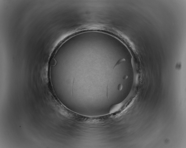X0000100191174200805301241