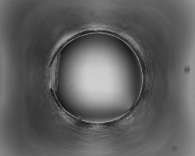 X0000100191175200805301241