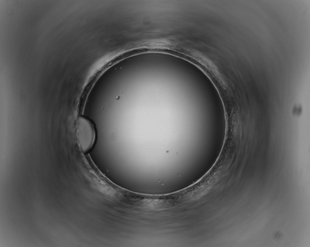 X0000100191176200805301241