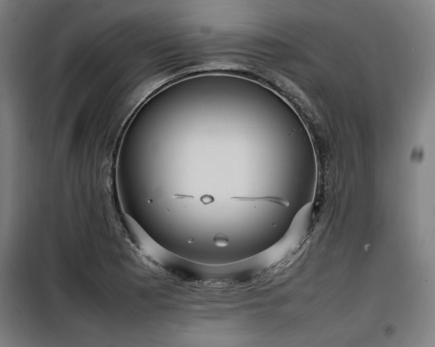 X0000100191177200805301241