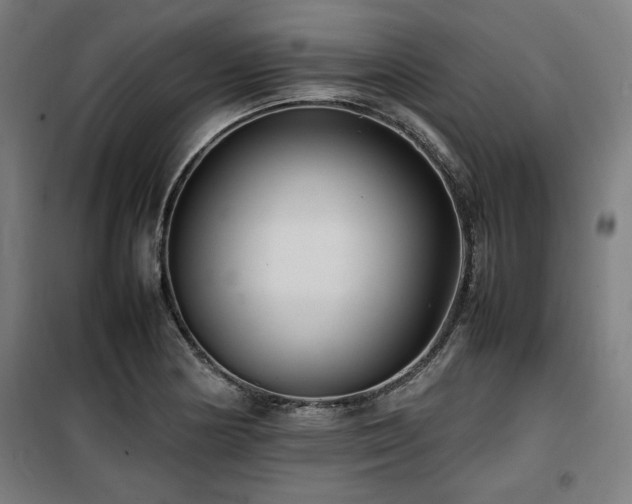 X0000100191178200805301241